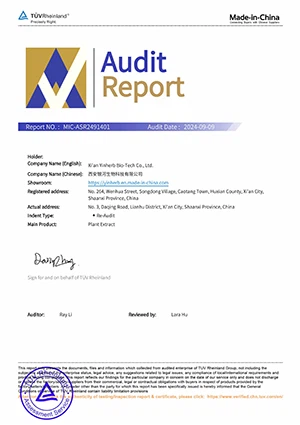 audit report