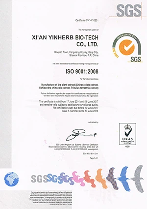 ISO9001