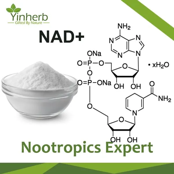 Pure NAD+ Powder CAS.53-84-9 99%