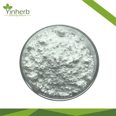 Bovine Collagen Peptide Powder 99% Purity