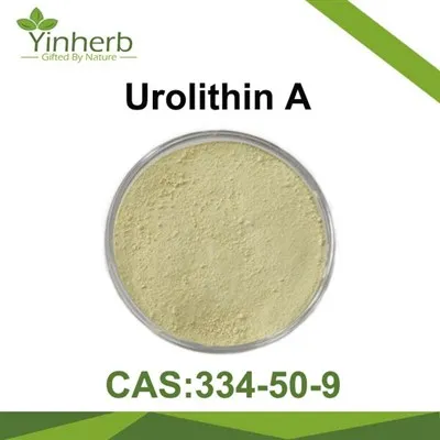 Urolithin A 99% Powder CAS.1143-70-0 99%